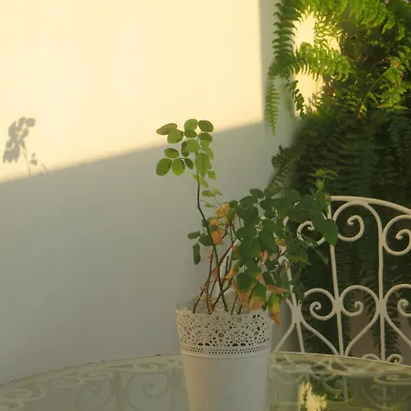 Daire Caparica For Rent Costa da Caparica