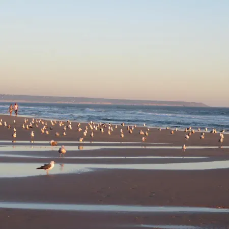 Daire Caparica For Rent Costa da Caparica