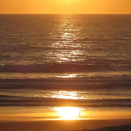 Caparica For Rent *