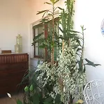 Caparica For Rent
