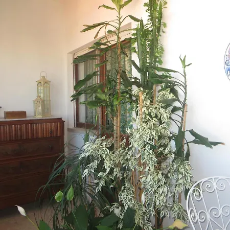 Caparica For Rent