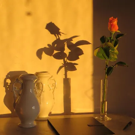 Caparica For Rent Апартаменты Кошта-да-Капарика