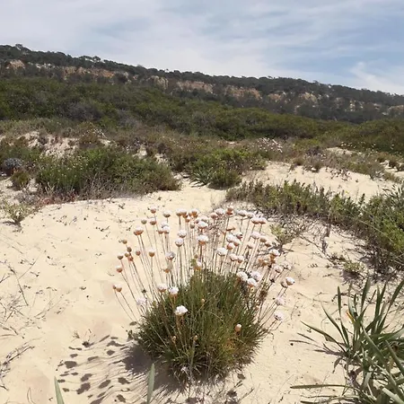 Caparica For Rent Costa de Caparica