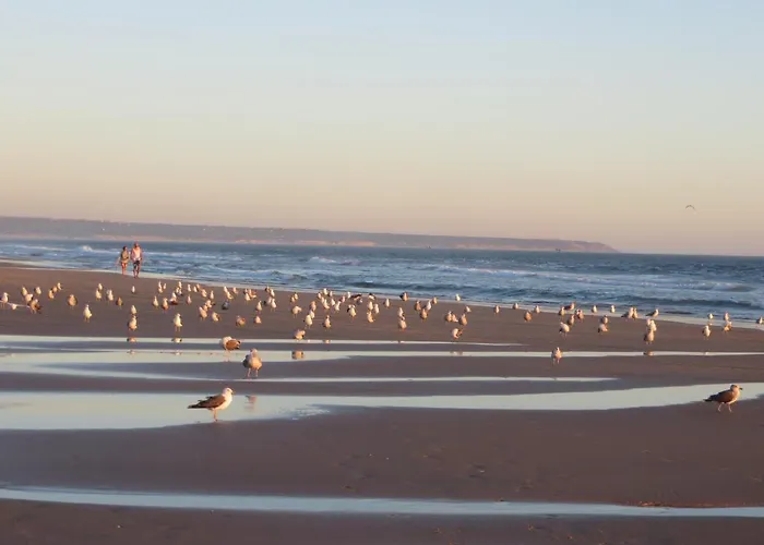 Lejlighed Caparica For Rent Costa de Caparica